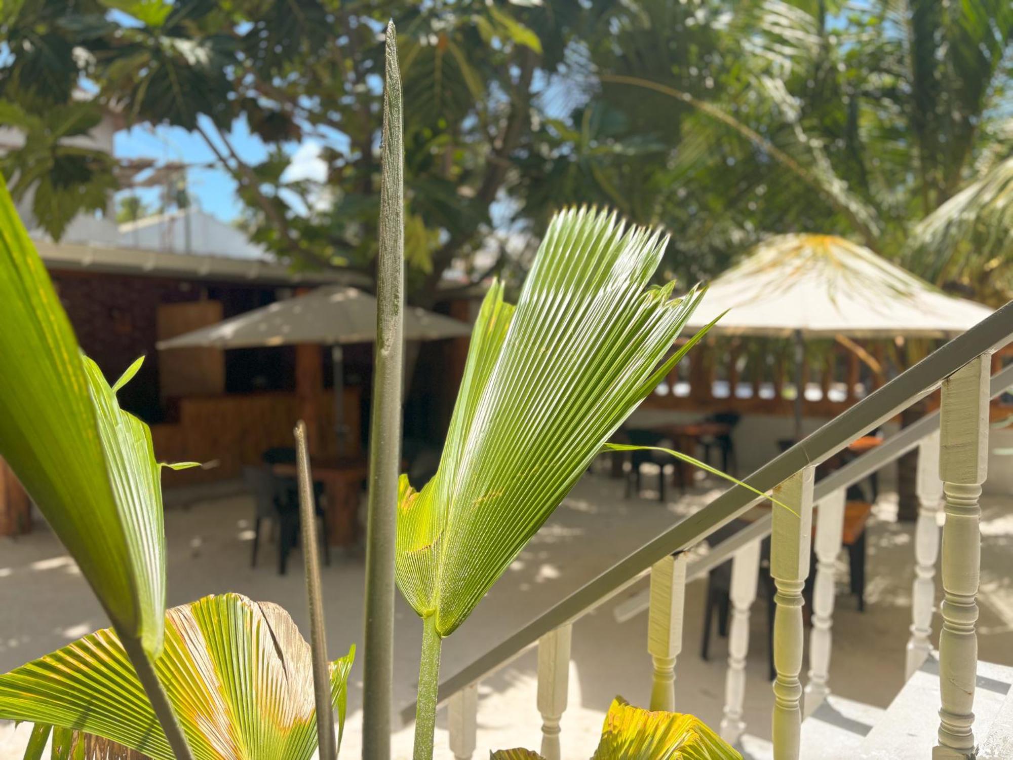 Mathiveri Thundi Inn エクステリア 写真